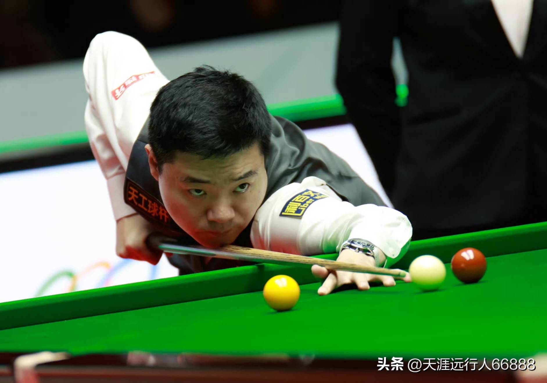 养的借鉴案 养的借鉴案