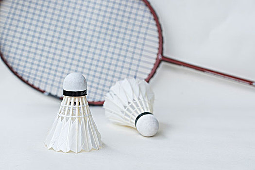 开幕式上的 开幕式上的