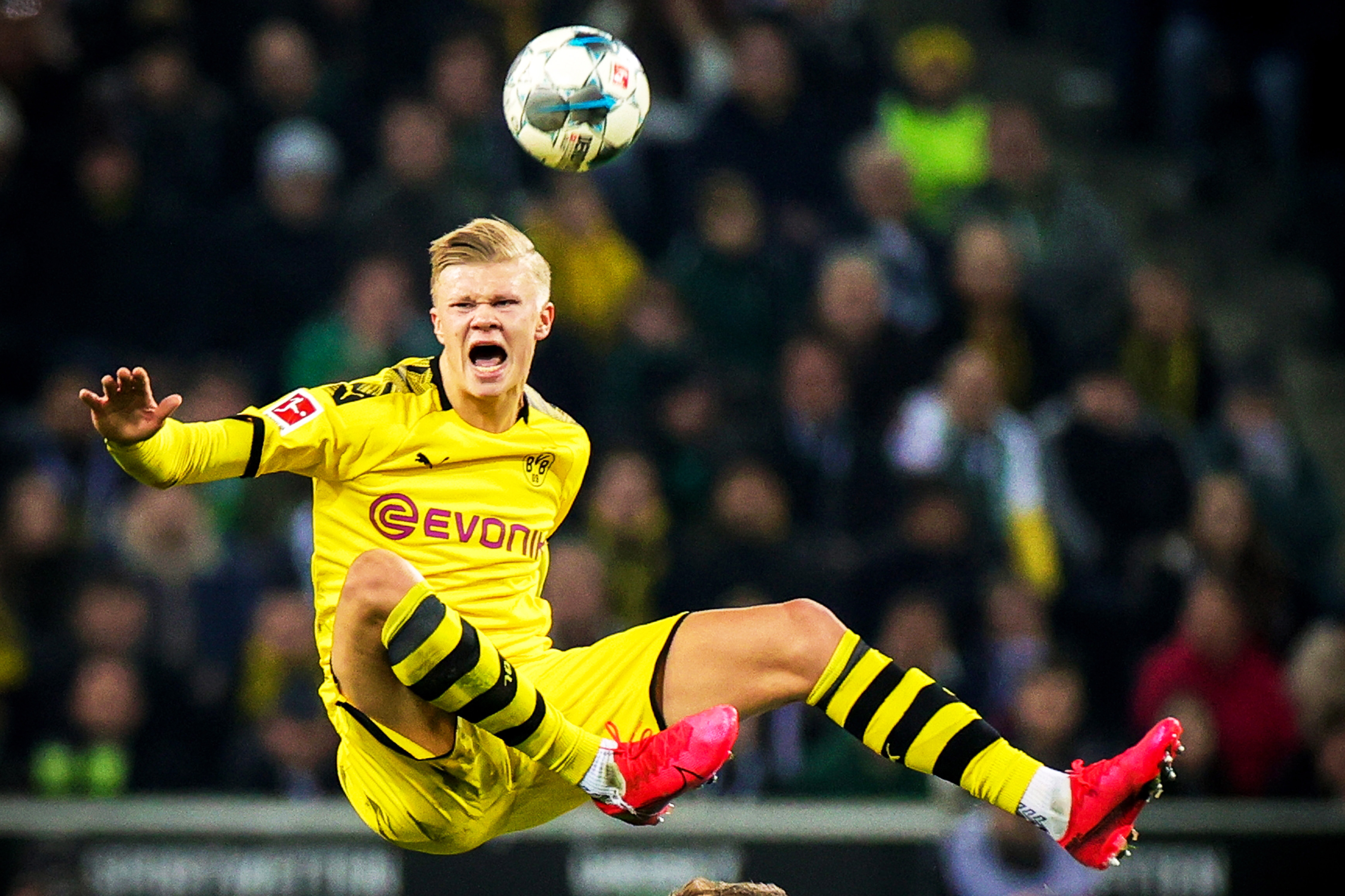 直播间引导 直播间引导